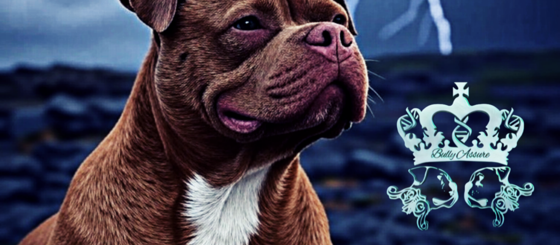 Picsart_25-07-10_17-59-36-122