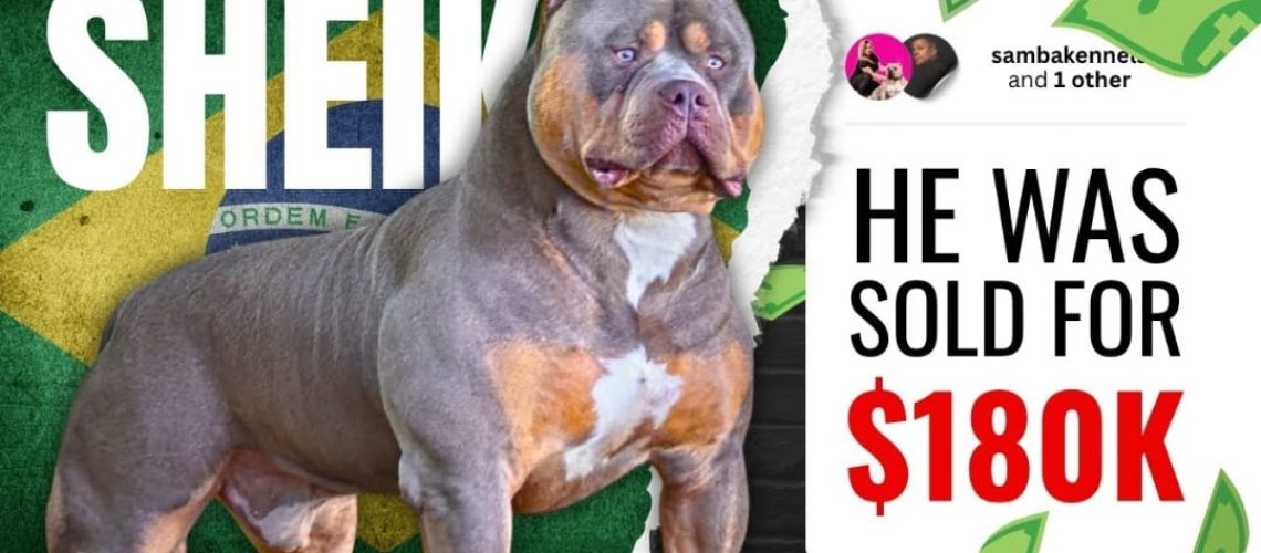 WhatsApp Image 2026-03-03 at 10.51.59 AM